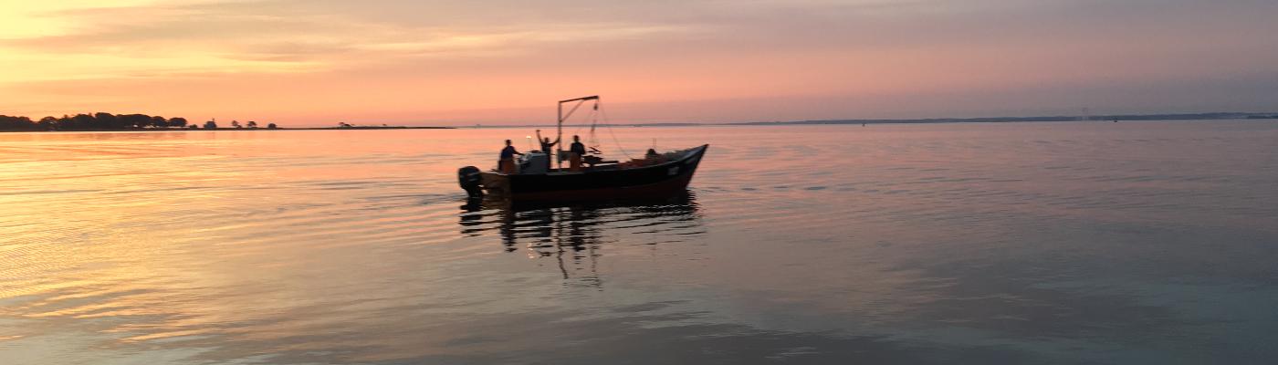 Precious Oysters Raw Bar Catering gallery image 1