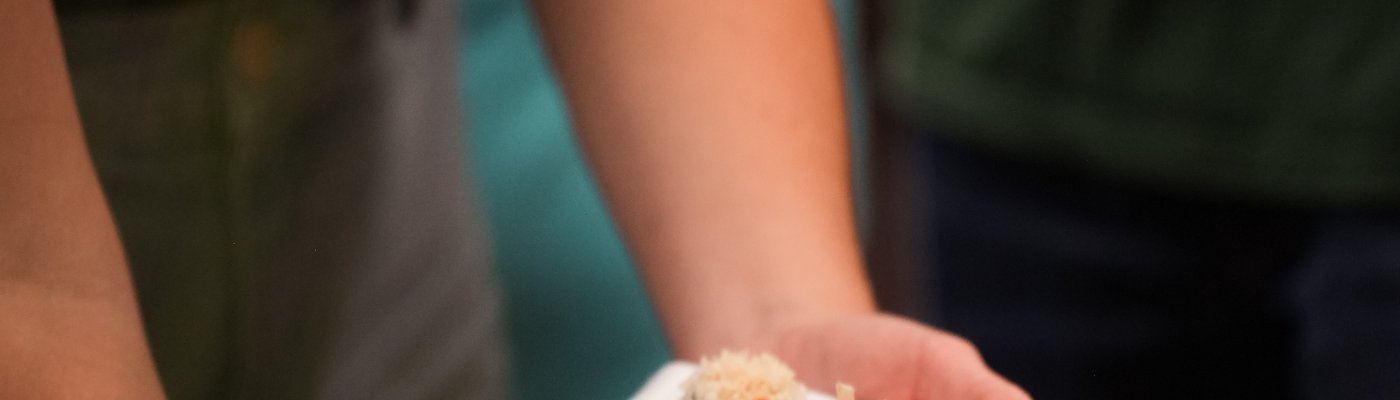 The Sushi Class gallery image 1