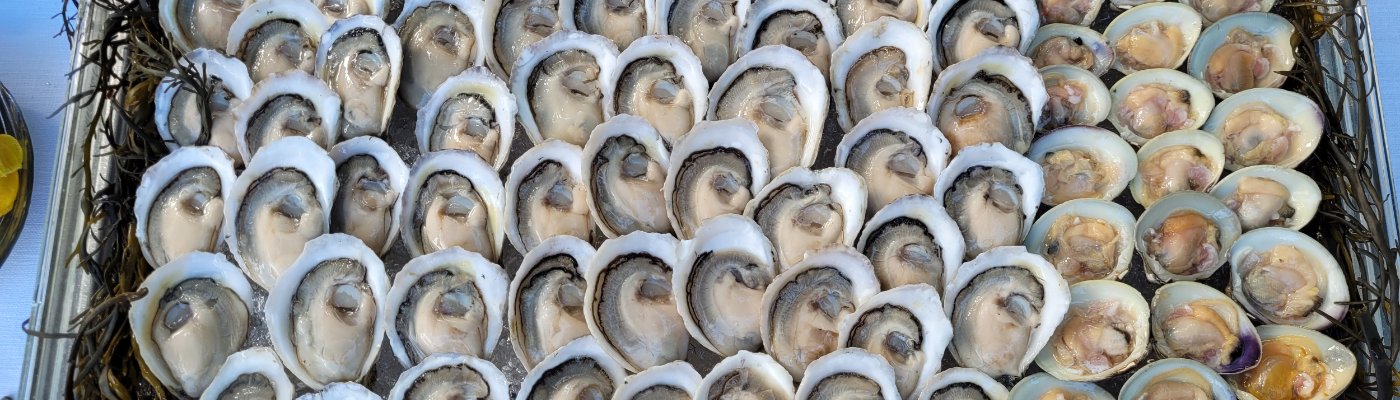 This Girl Shucks, LLC gallery image 1