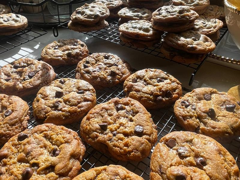 Sourdough Chocolate Chip Cookies